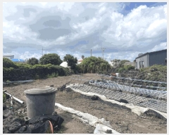  2025Ÿ��8391 ���� ���ֽ� �ֿ��� ������ 1847      ����(����)���