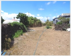  2025Ÿ��8391 ���� ���ֽ� �ֿ��� ������ 1847      ����(����)���