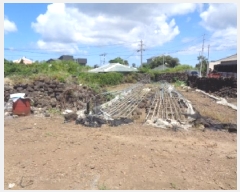  2025Ÿ��8391 ���� ���ֽ� �ֿ��� ������ 1847      ����(����)���