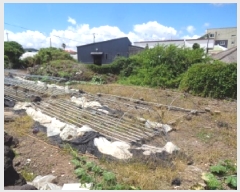  2025Ÿ��8391 ���� ���ֽ� �ֿ��� ������ 1847      ����(����)���