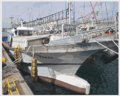  2025Ÿ��8699  ���ڰ��