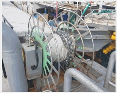  2025Ÿ��8699  ���ڰ��