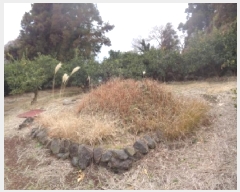  2025Ÿ��244  ���������