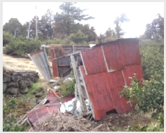  2025Ÿ��244  ���������