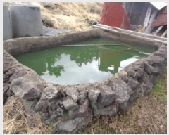  2025Ÿ��244  ���������