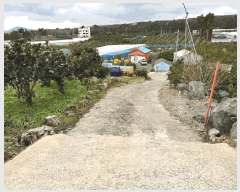  2025Ÿ��428  â�����