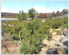  2025Ÿ��428  â�����