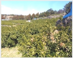  2025Ÿ��428  â�����