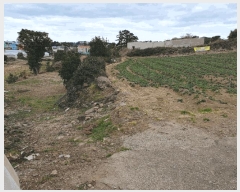  2025Ÿ619  ֽ ֿ ž 3012      (1)