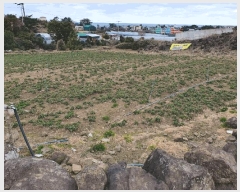  2025Ÿ619  ֽ ֿ ž 3012      (1)