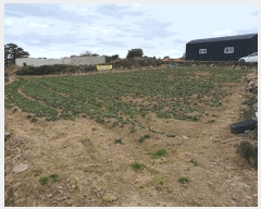  2025Ÿ619  ֽ ֿ ž 3012      (1)