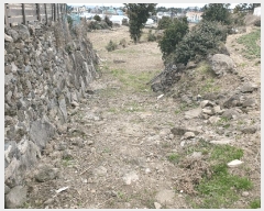  2025Ÿ619  ֽ ֿ ž 3012      (1)