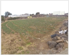  2025Ÿ619  ֽ ֿ ž 3012      (1)