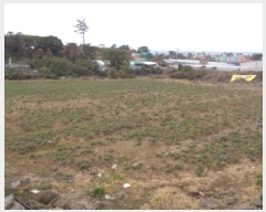  2025Ÿ619  ֽ ֿ ž 3012      (1)