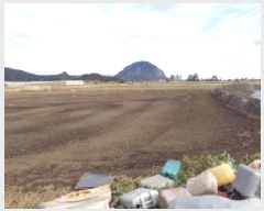  2025Ÿ900     1172-8      (1)