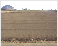  2025Ÿ900     1172-8      (1)