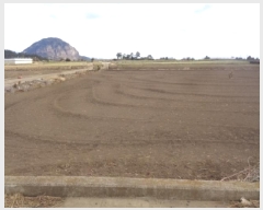  2025Ÿ900     1172-8      (1)