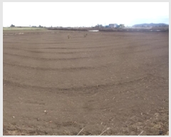  2025Ÿ900     1172-8      (1)