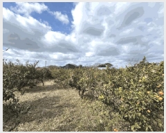  2025Ÿ��928  ���������