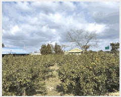  2025Ÿ��928  ���������