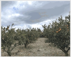  2025Ÿ��928  ���������