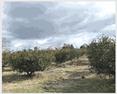  2025Ÿ��928  ���������