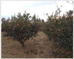  2025Ÿ��928  ���������