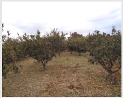  2025Ÿ��928  ���������