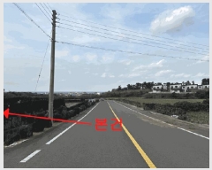  2025Ÿ��937  �����