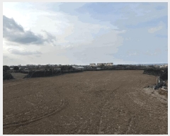  2025Ÿ��937  �����