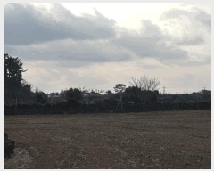  2025Ÿ��937  �����