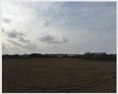  2025Ÿ��937  �����