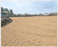  2025Ÿ��937  �����