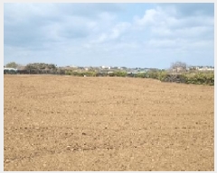  2025Ÿ��937  �����