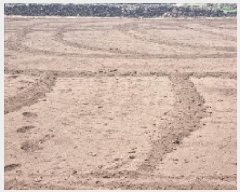  2025Ÿ��956 ���� ���ֽ� ������ �ϵ��� 130      ����(��1)���