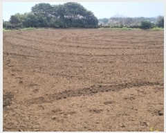  2025Ÿ��956 ���� ���ֽ� ������ �ϵ��� 130      ����(��1)���