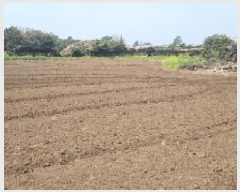  2025Ÿ��956 ���� ���ֽ� ������ �ϵ��� 130      ����(��1)���