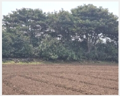  2025Ÿ��956 ���� ���ֽ� ������ �ϵ��� 130      ����(��1)���