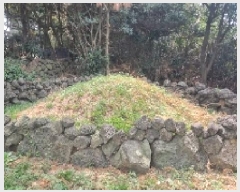  2025Ÿ��956 ���� ���ֽ� ������ �ϵ��� 130      ����(��1)���