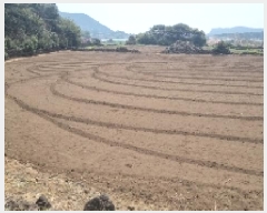  2025Ÿ��956 ���� ���ֽ� ������ �ϵ��� 130      ����(��1)���