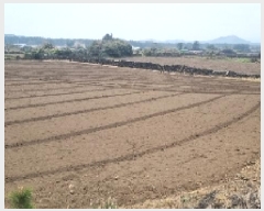  2025Ÿ��956 ���� ���ֽ� ������ �ϵ��� 130      ����(��1)���