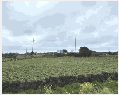  2025Ÿ��965 ���� �������� ������ ������ 4034      ����(��1)���