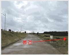  2025Ÿ��965 ���� �������� ������ ������ 4034      ����(��1)���