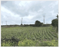  2025Ÿ��965 ���� �������� ������ ������ 4034      ����(��1)���