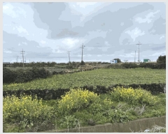  2025Ÿ��965 ���� �������� ������ ������ 4034      ����(��1)���