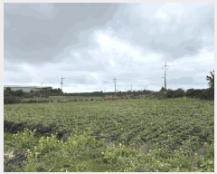  2025Ÿ��965 ���� �������� ������ ������ 4034      ����(��1)���