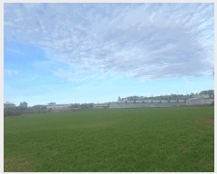  2025Ÿ��984 ���� ���ֽ� �ֿ��� ������ 1464-1      ����(��1)���