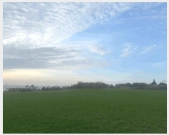  2025Ÿ��984 ���� ���ֽ� �ֿ��� ������ 1464-1      ����(��1)���