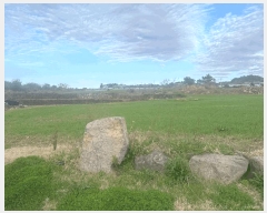  2025Ÿ��984 ���� ���ֽ� �ֿ��� ������ 1464-1      ����(��1)���