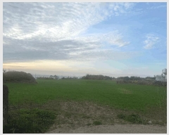  2025Ÿ��984 ���� ���ֽ� �ֿ��� ������ 1464-1      ����(��1)���